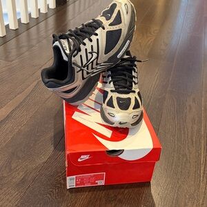 Nike Air Pegasus 2005